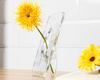 Flower Frame Vase - Transparent