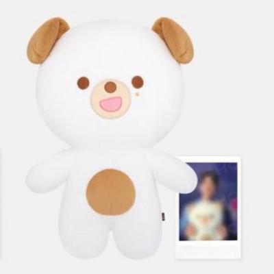 Cost/sealed/photocard O) DAY6 Zappu Mul Don