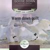 Impression Collection Warm Winter White Goose Down Comforter