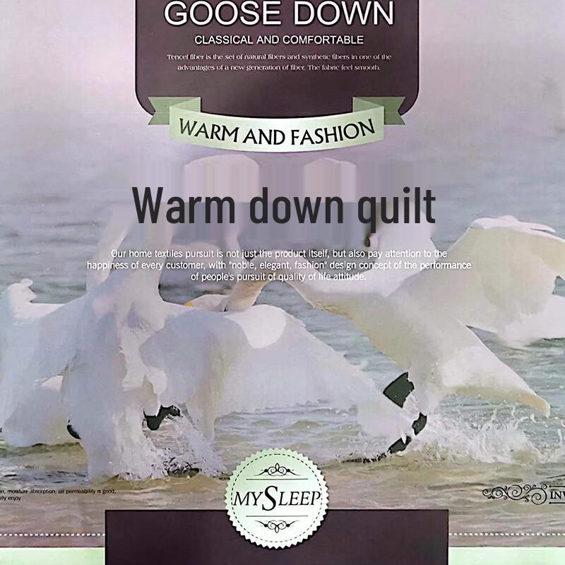 Impression Collection Warm Winter White Goose Down Comforter