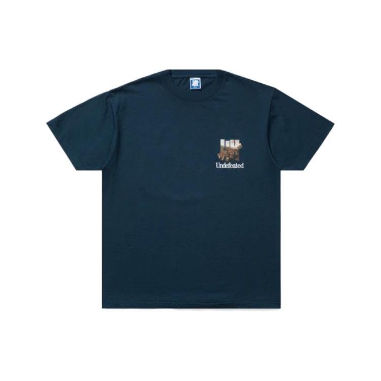 UNDEFEATED SS23 Crew Neck Fitted Short Sleeved T Shirt Unisex UI31GSS09M