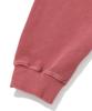 Stends [M~4Xl] Pigment Arch Logo Hoodie Zip-Up_Pink