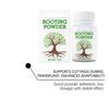 Plant Root Growth Stimulator Liquid Fertilizers Concentrate For Healthy Flowers And Trees Enhances Root Development