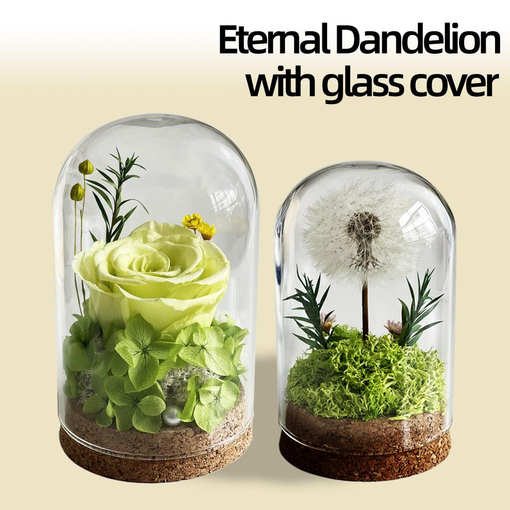 Natural Flowers Rose Dandelions Real Dried Flower for Crafts Glass Cover Home Office Decoration for Birthday Mother's Day Gifts