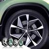 55MM/65MM Coprimozzi Originali Copricentri Ruota Auto Decorazione Per Skoda Yeti Octavia VII 2 3 a5 Fabia Kodiaq Rapid Karoq Superb