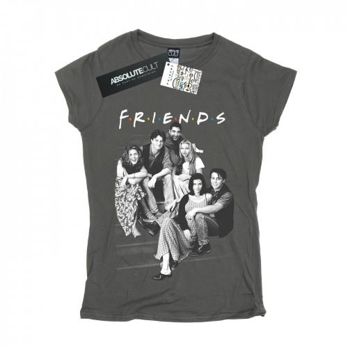 Friends Womens/Ladies Group Stairs Cotton T-Shirt