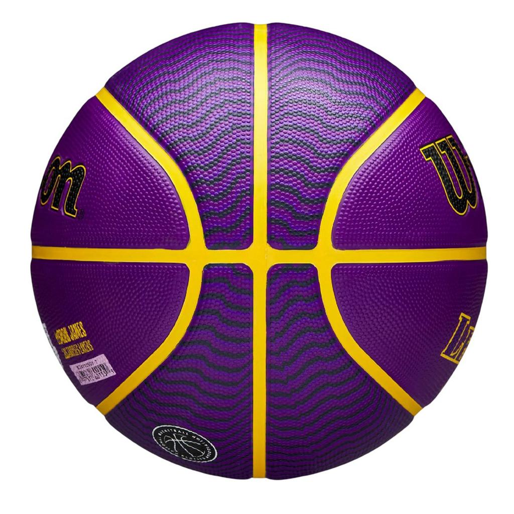 Wilson NBA Basketball