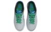 Nike Dunk Low Pure Platinum Photo Blue GS DH9765-004