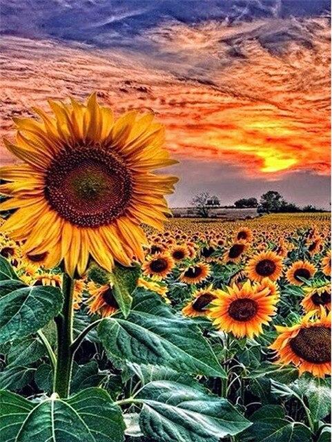 5D DIY Diamond Painting Sunflower Blackboard Cross Stitch New Arrival Diamond Embroidery Flower Handicraft Home Decor