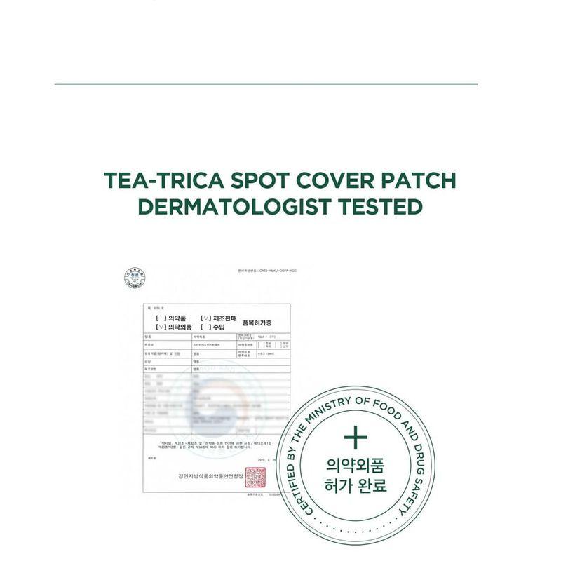 SKIN 1004 - Spot Cover Patch