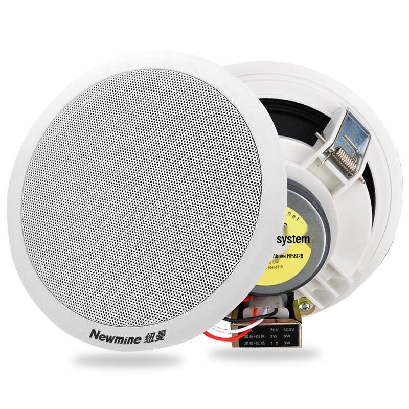 Newmine R16 Constant Voltage Ceiling Speaker System
