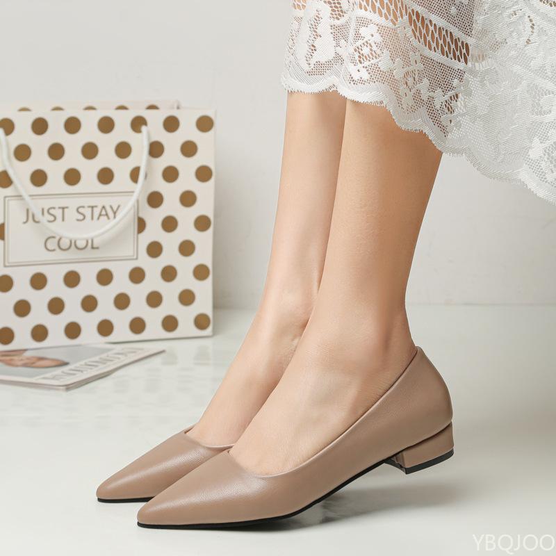Women's Elegant Fashion High Heels Dress Shoes 2025 women New Pointed Toe Shallow Mouth Square Heel Small Leather Shoes Zapatos