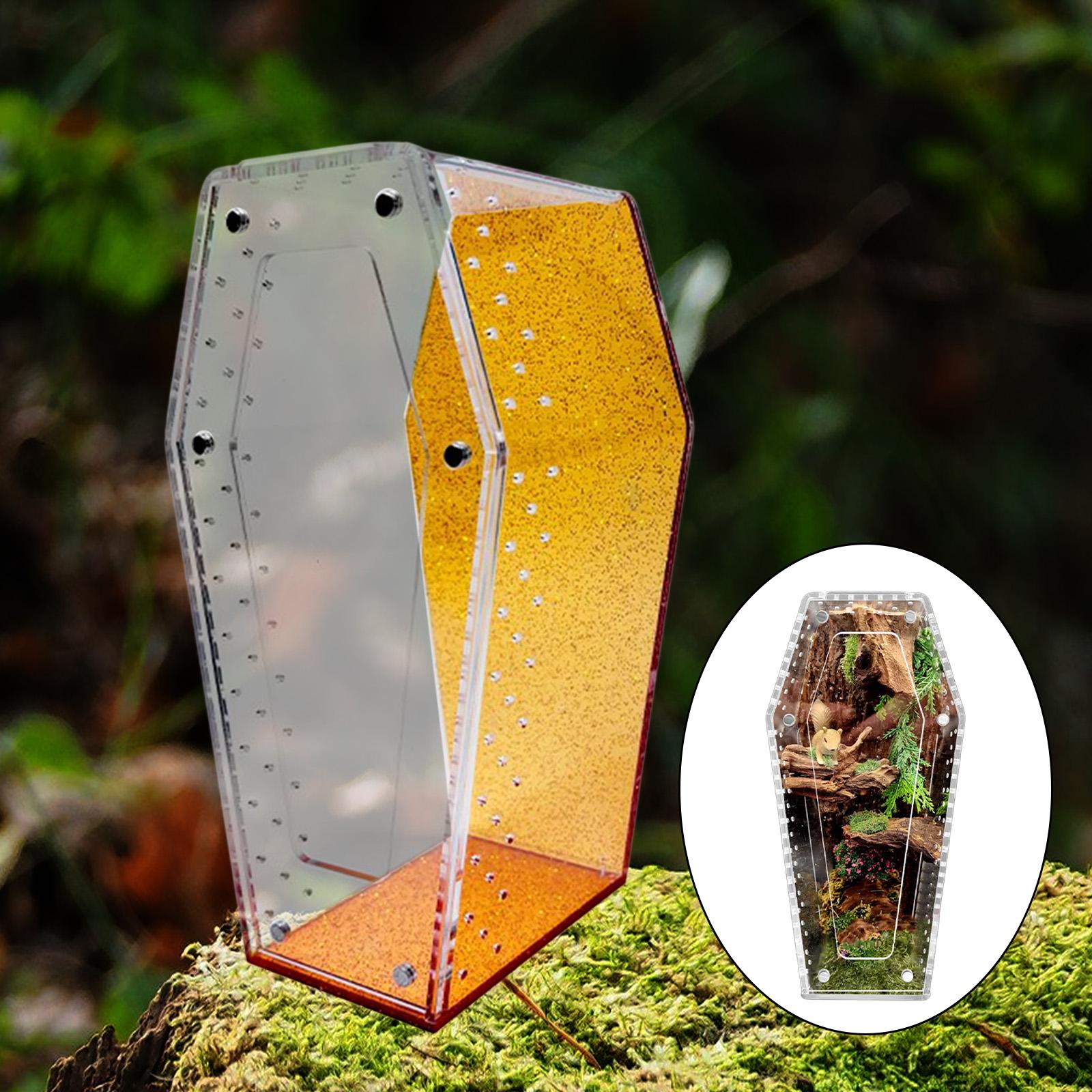 Jumping Spider Enclosure Ventilation with Front Opening Door Clear Tank Acrylic Reptile Terrarium Tarantula Cage for Tarantulas arancione