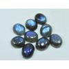 10X12MM Natural Labradorite Blue Fire Oval Cabochon Loose Gemstone 09Pcs Lot C-1050