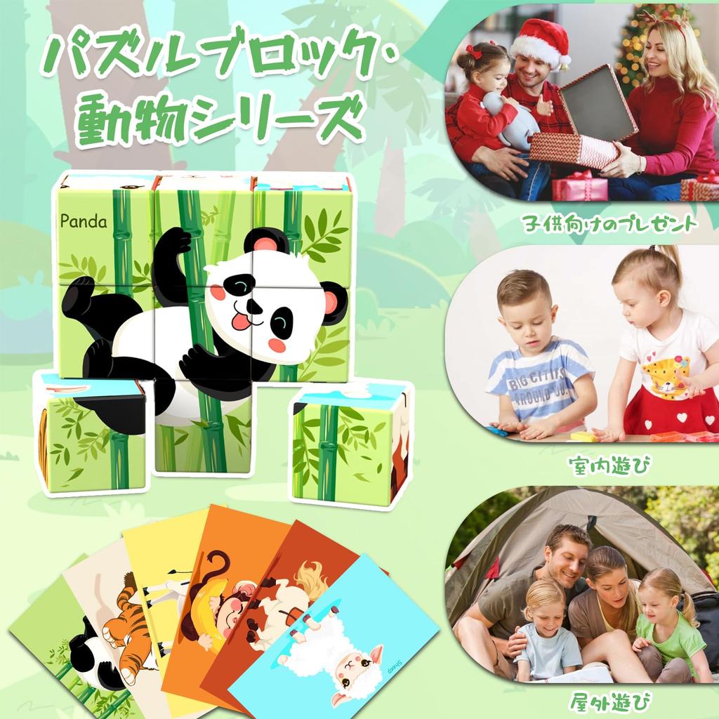 AOMACO Magnetická stavebnice 3D puzzle, 6 témat, 6stranné puzzle, Vzor Devíti paláců, Magnetické kostky, 9dílná sada, Vzdělávací hračka, 3D puzzle, Magnetické