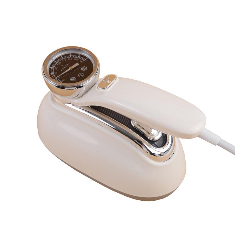 Portable Dual-Use Garment Steamer & Iron