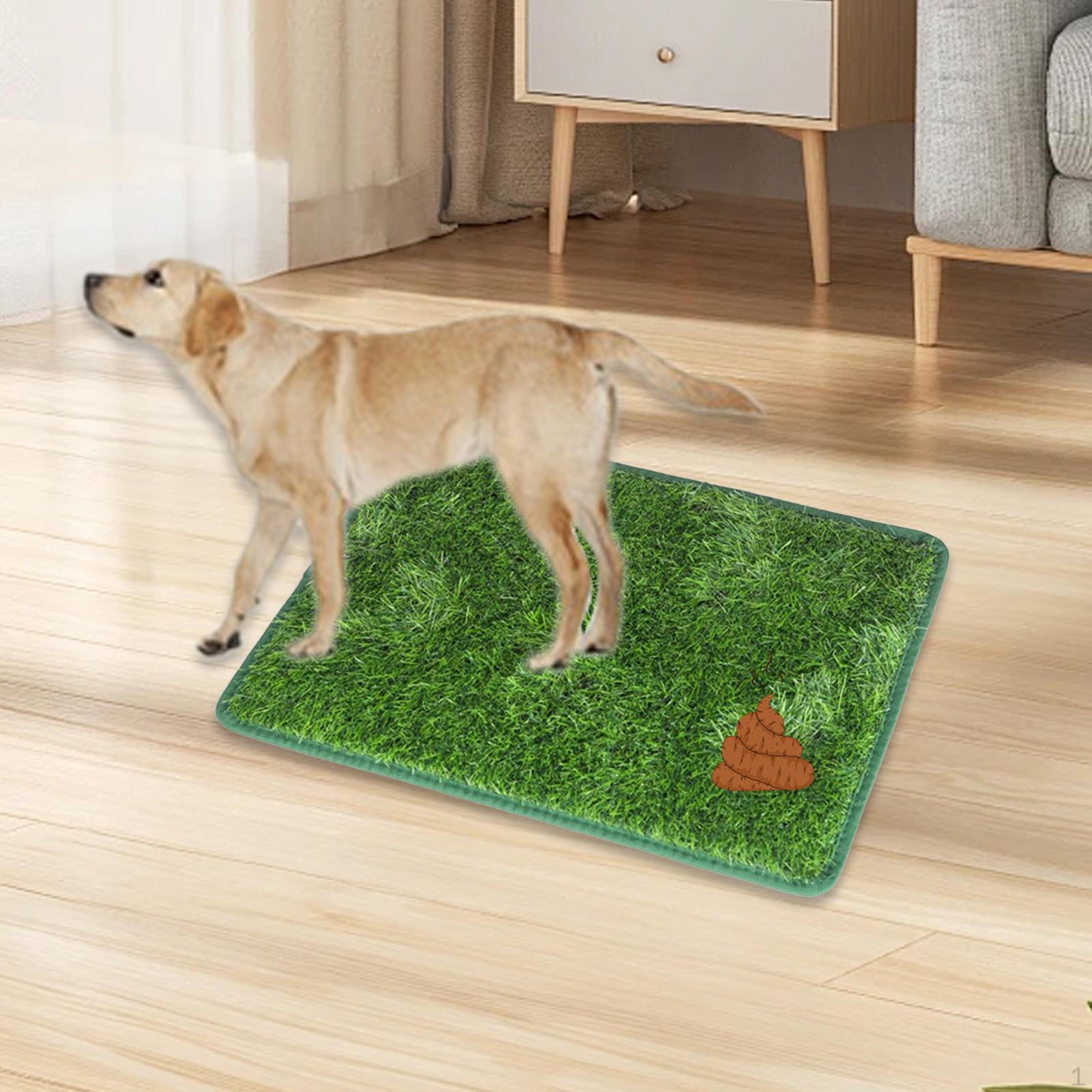 

Artificial Grass Dog Mat for Pet Training, Easy Clean Doormat, Professional Resting Area, Strong L
