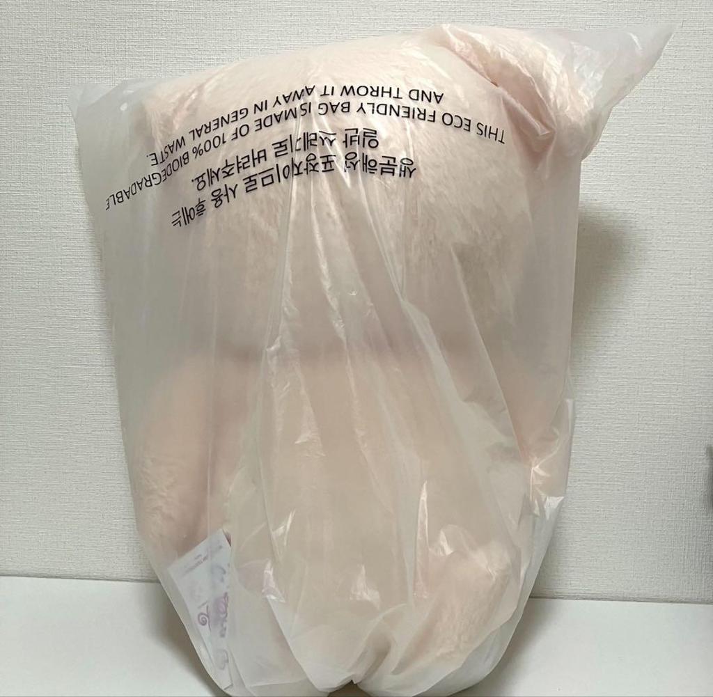 [USED] Stray Kids SKZOO PLUSH Teddy Bear Ver.