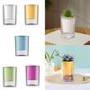 Self Watering Pot Desktop Ornament Tabletop Centerpiece Modern Hydroponic Planting Pot for Office Home Yard Living Room Garden