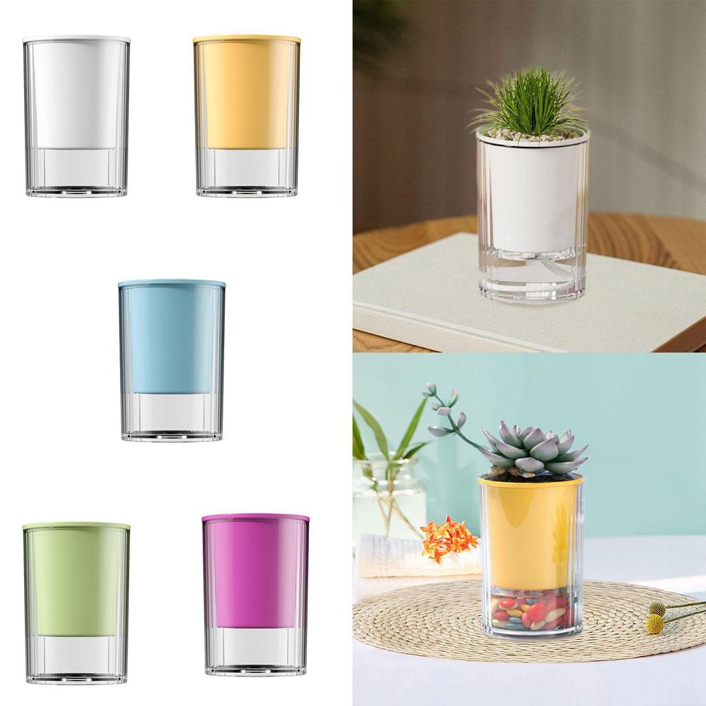 Self Watering Pot Desktop Ornament Tabletop Centerpiece Modern Hydroponic Planting Pot for Office Home Yard Living Room Garden