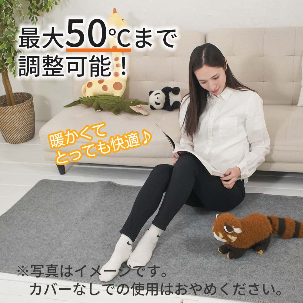 MORITA Electric 176 X 88 Cm To 1 Tatami Gray Carpet, Approx. (equivalent Mat), TMC-100,
