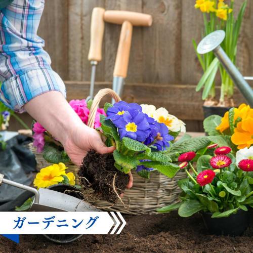 KUMINO BRICK Red Brick AR-01 Set of 4