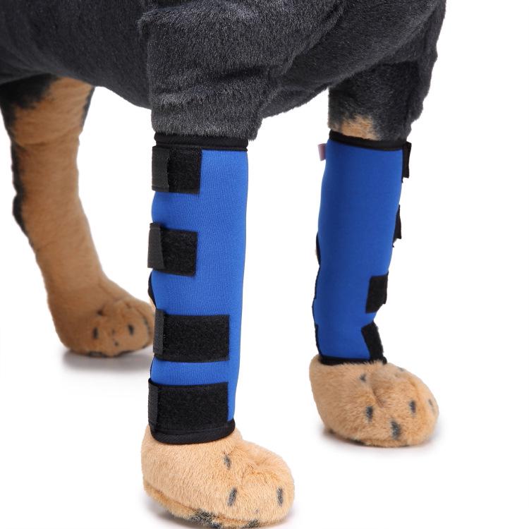 

Dog Postoperative Knee Pad & Leg Protector for Recovery Small
