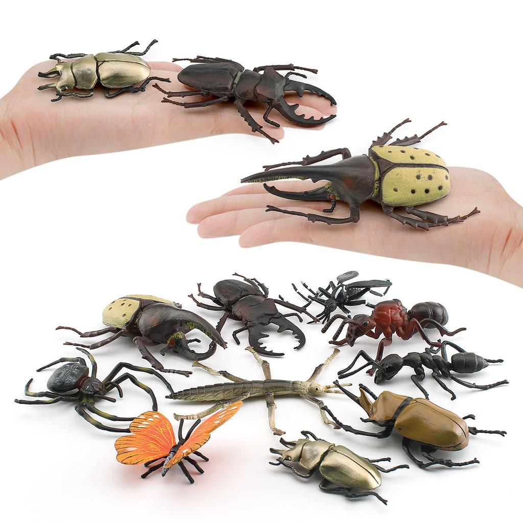 Insect Animal Model Pvc Collection For Educational Display And Collection Enthusiasts