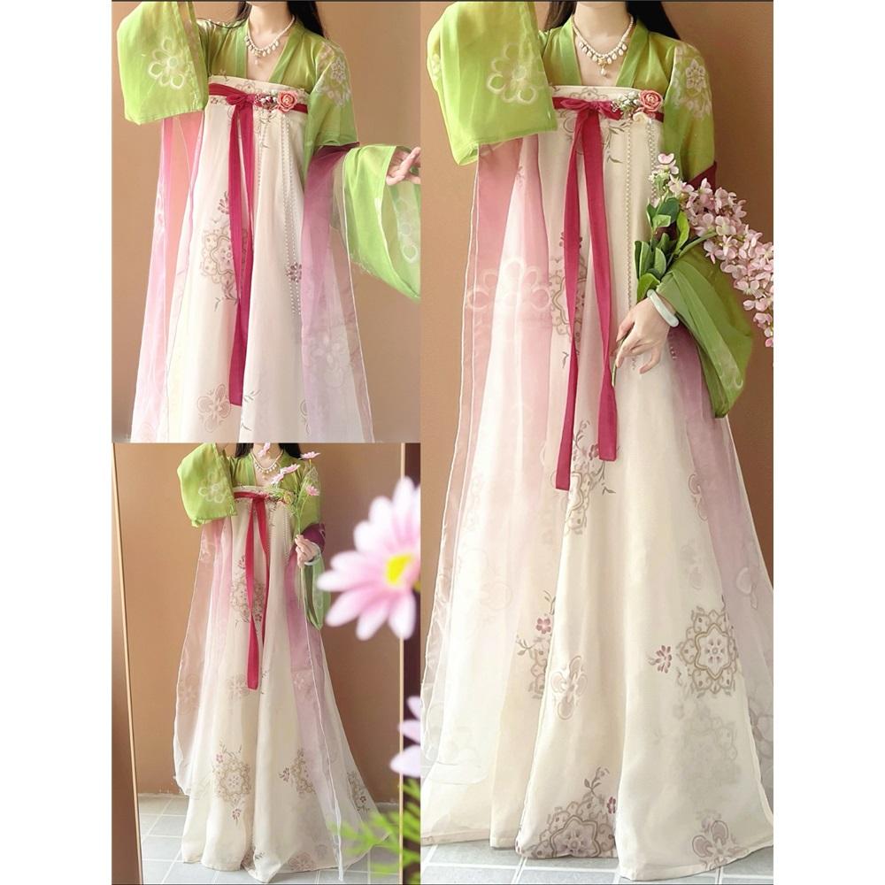 Chinese Tang Dynasty Style Hanfu, One-piece Skirt, Daily Suit For Women