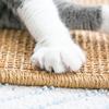 Bunny Scratching Pad With Sisal Cardboard Chew Toy And Digging Board Natural Pet Supplies For Bunnies Chinchillas Small Animals