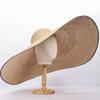 Spring and Summer Niche Design Fine Straw Dome Straw Hat Big Eaves Outdoor Travel Sun Protection Sunshade Beach Straw Hat