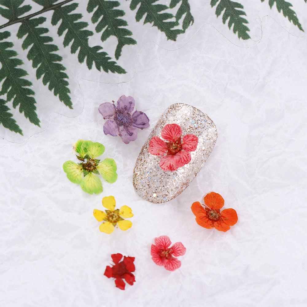 Pressed Flower 3D Nail Art Decorations Manicure Accessories Nail Art Dried Flower DIY Nail Decals