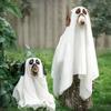 Halloween Dog Ghost Costume Pet Cosplay Cloak with Witch Hat Candy Pot Funny Puppy Outfit for Halloween Party Photo Prop Large