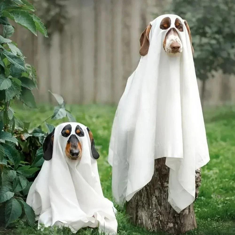 Halloween Dog Ghost Costume Pet Cosplay Cloak with Witch Hat Candy Pot Funny Puppy Outfit for Halloween Party Photo Prop Large