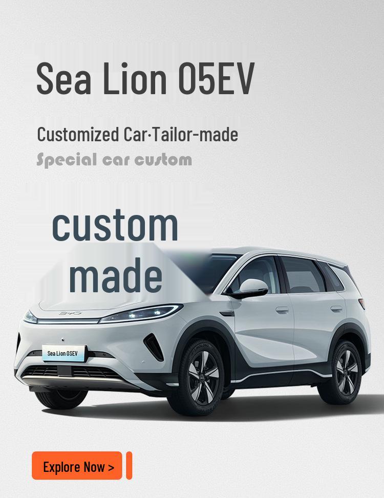 BYD Sea Lion 05EV All-Season Perforated Breathable Seat Cushion Cover