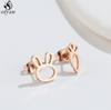 Asymmetry Stainless Steel Key Lock Earring for Women Rabbit Carrot Piercing Jewelry Girls Earrings Gifts Accessories