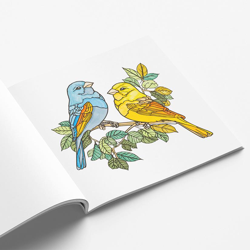 Livre de coloriage pour adultes Livre de coloriage pour enfants