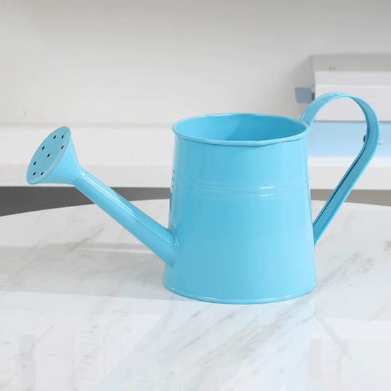 Metallvannkanne for Innendørsplanter Vannkanne med Bred Åpning Rustikk Blomsterarrangementsvase med Håndtak for Balkong Kontor Stue