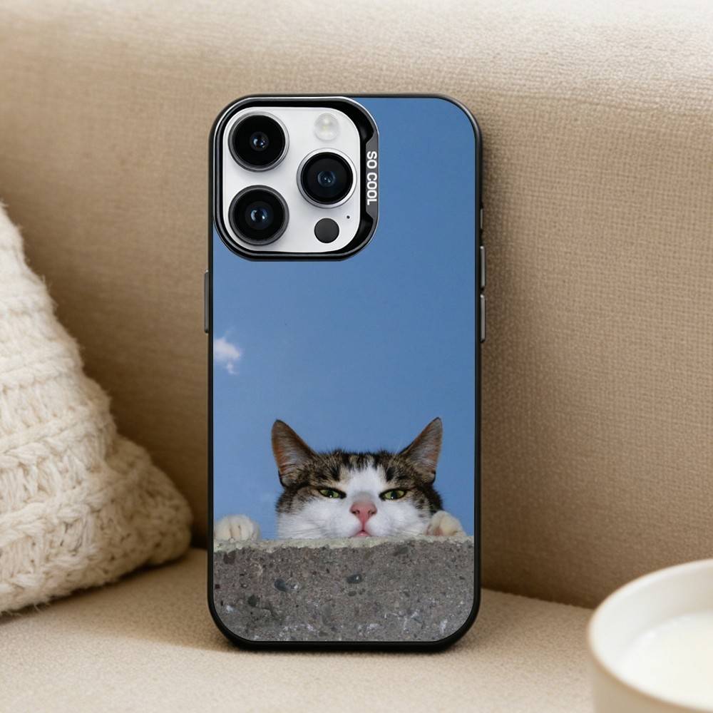Cool cat cute  Phone Case For iPhone17, 16,15,14,13,12 Pro Max Black Candy Matte Shockproof Cover