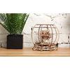 UGEARS 3D Puzzle Mechanical Aquarium