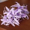 Elegante Blume Seitenclip Tagundnachtgleiche Blume Simulationsblume Greifclip Haiklammer Haarkralle Hanfu