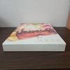 [USED] The Trail of Light CLANNAD 10th Anniversary Art Book