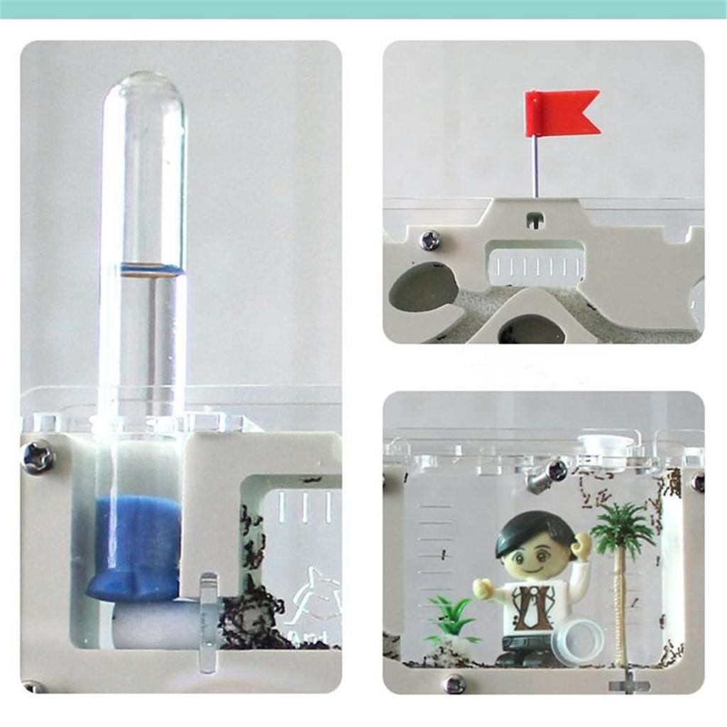 Ant Castle M Ecological Insect Box Pet Ant Workshop Tribe Lazy Farm Children Gift For Christmas