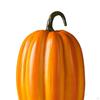 Festive Harvest Resin Pumpkin Decor for Themed Parties