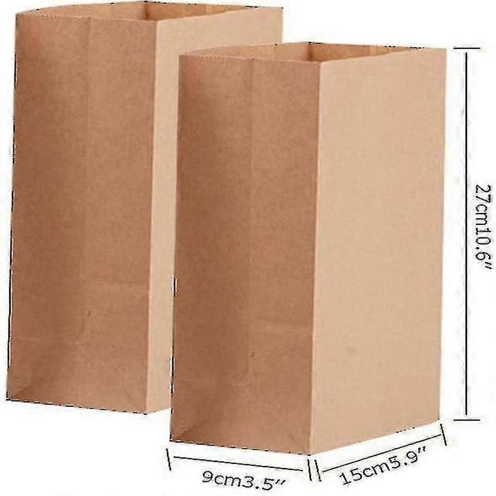 100 X Brown Paper Bags, Large Kraft Paper Bags With Bottom, Gift Bags For