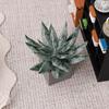 Miniature Potted Plant, Tiny Artificial Green Plant, Realistic Miniature Plant Model for 1:6 or 1:12 Scale Doll Mansion Miniature Room Decor