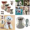 Soft And Breathable Mesh Dog Harness Vest With Matching Leash For Small Medium Pets