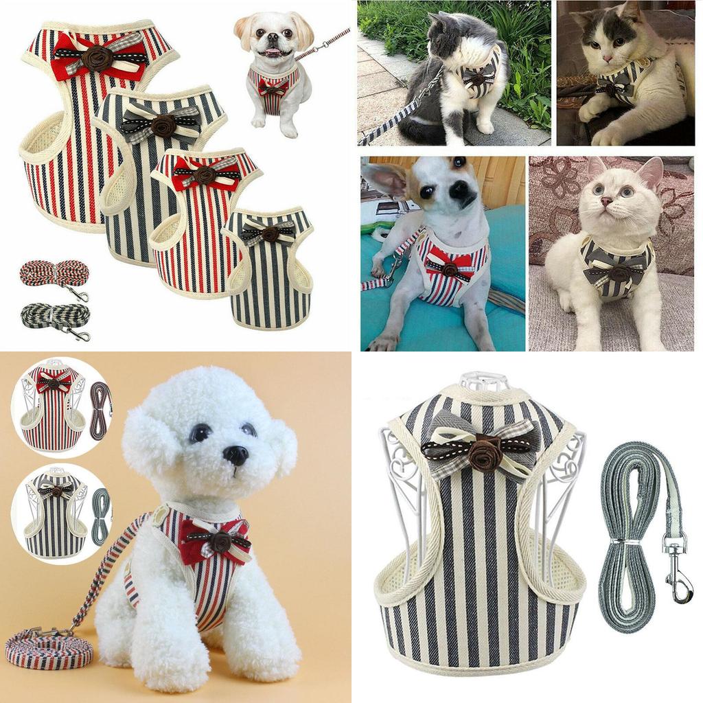 Soft And Breathable Mesh Dog Harness Vest With Matching Leash For Small Medium Pets