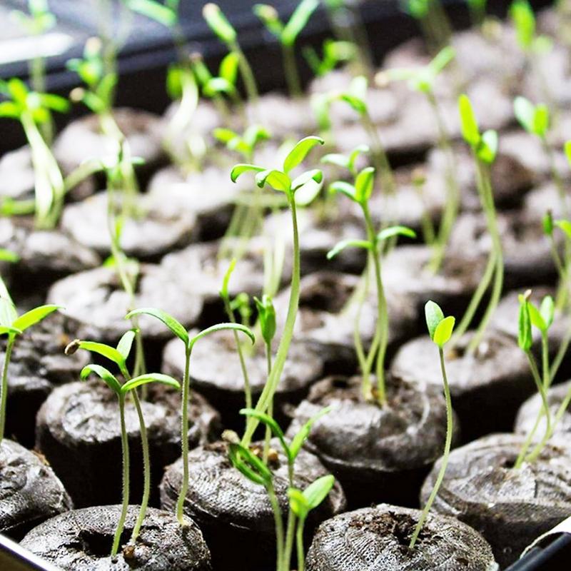 Peat Pellets 10 Count 30mm Plant Starter Seedling Tray Nutrition Block Compression Peat Block Nursery Block