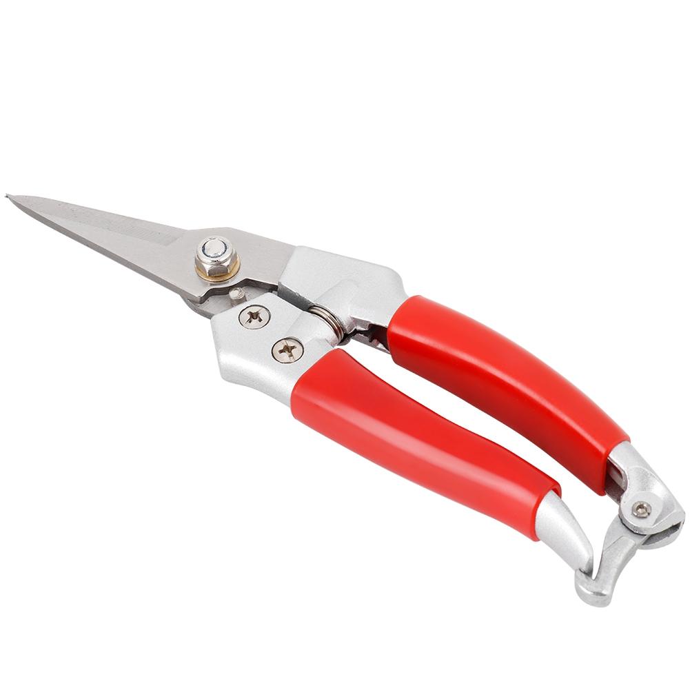 Plant Pruning Scissors Red Handle Straight Pruning Shrs Hand Pruner (Painting Process)